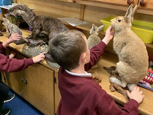 Scartaglen National School Killarney Co. Kerry Primary Schools Castleisland Scartaglen Kerry